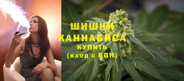 mdpv Богородицк