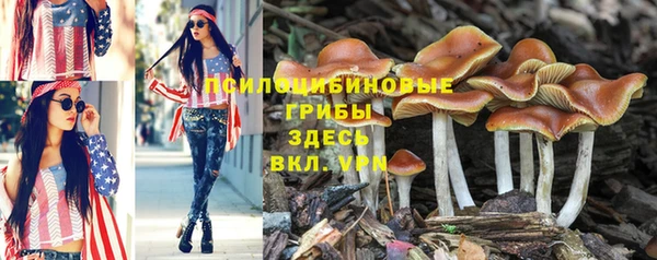 mdpv Богородицк