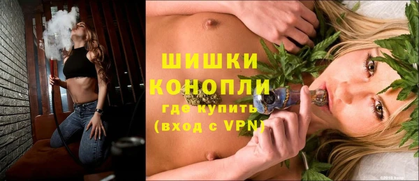 apvp Богородск