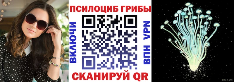 Купить где  Агидель  Псилоцибиновые грибы Psilocybine cubensis 